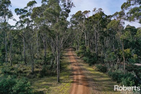 Property photo of 84 Pipers River Road Turners Marsh TAS 7267