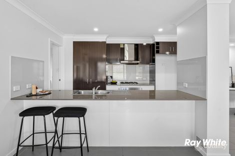 Property photo of 24 Serene Crescent Springfield Lakes QLD 4300