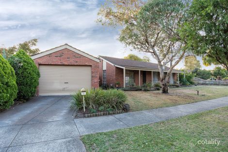 Property photo of 11 Tolhurst Avenue Boronia VIC 3155