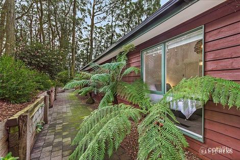 Property photo of 16 Grandview Grove Sassafras VIC 3787