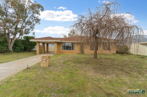3 Galpini Pl, Mirrabooka, WA 6061