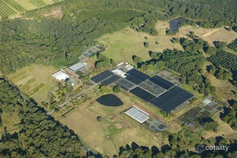 1293 Bruxner Hwy, Lindendale, NSW 2480