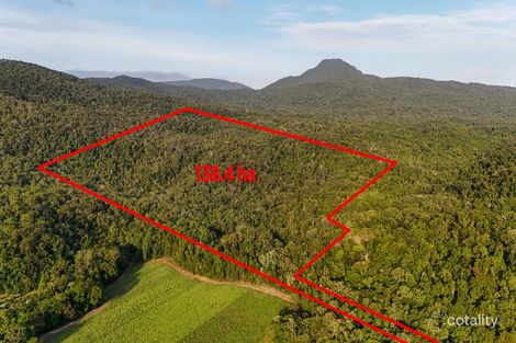 1060 Pine Creek-Yarrabah Rd, East Trinity, QLD 4871