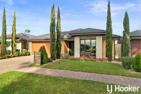 Property photo of 23 Kinross Avenue Burton SA 5110