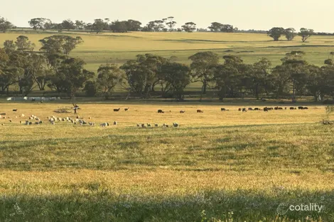 2130 Long Forrest Rd, Mumberkine, WA 6401