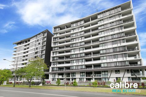 Property photo of 2039/123 Cavendish Road Coorparoo QLD 4151