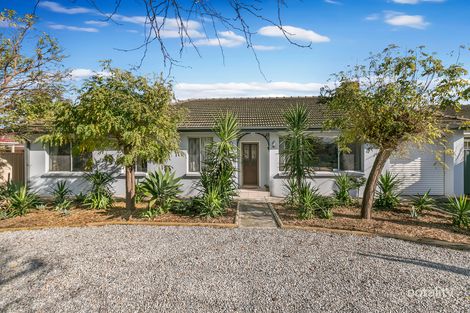 Property photo of 32 Shelley Avenue Netley SA 5037