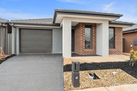 Property photo of 51 Adelong Boulevard Cobblebank VIC 3338