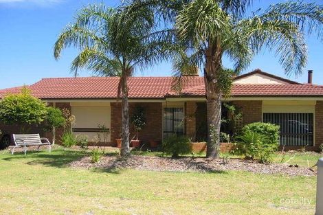 41 Blackadder Rd, Swan View, WA 6056