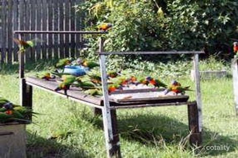 Property photo of 46 Brandon Street Marsden QLD 4132