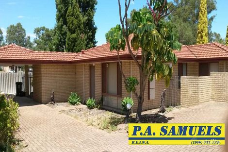 4/402 Hector St, Yokine, WA 6060