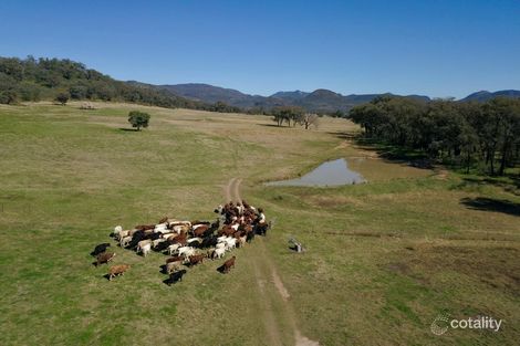 711 Timor Rd, Coonabarabran, NSW 2357