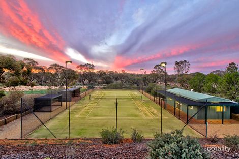 Property photo of 26 Hilltop Drive Loxton SA 5333