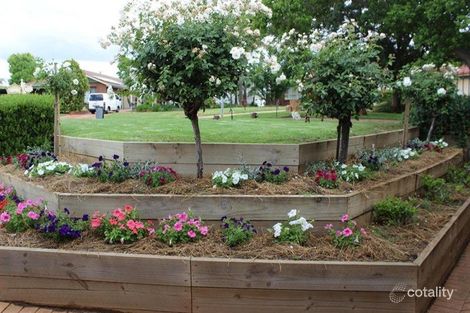 Property photo of 13 Christie Close Dubbo NSW 2830