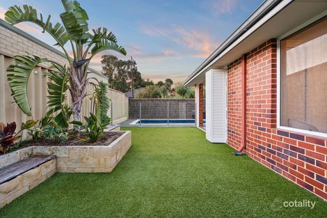 Property photo of 19 Oxted Link Butler WA 6036