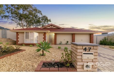 Property photo of 47 Tuscan Road Golden Grove SA 5125