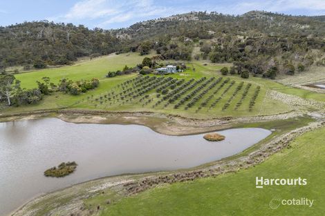 Property photo of 902 Tea Tree Road Tea Tree TAS 7017