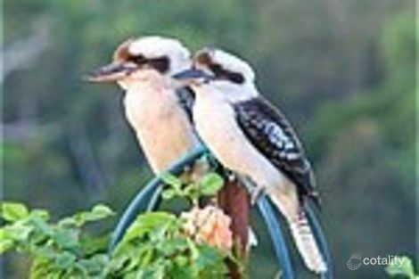 Property photo of 6 Poplin Place Mount Cotton QLD 4165