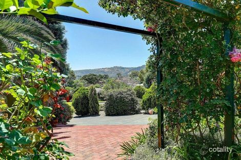 Property photo of 21 Shelton Drive Athelstone SA 5076