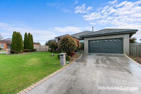 Property photo of 8 Napier Place Traralgon VIC 3844