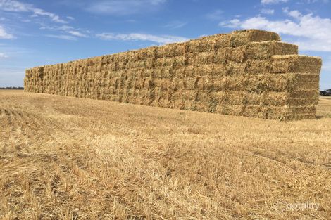 156 Irbrae Rd, Cooke Plains, SA 5261