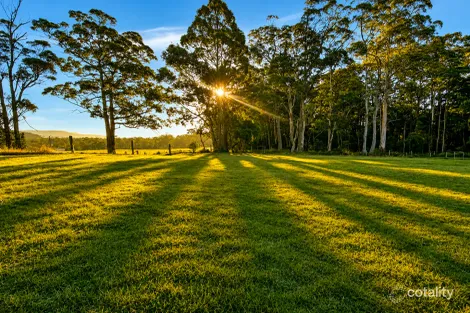 Elephant Pass Rd, Gray, TAS 7215