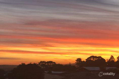 Property photo of 16 Porter Circuit Milton NSW 2538