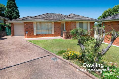 4/4 Loderi Pl, Warabrook, NSW 2304