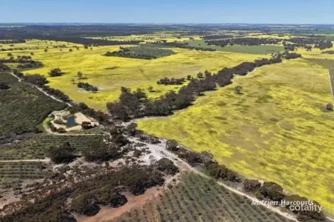 184 Ewert Rd, Morbinning, WA 6304