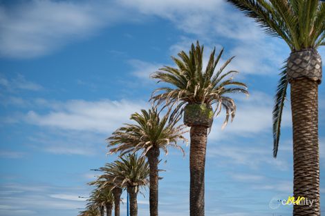 Property photo of 1 Meredith Street St Leonards VIC 3223