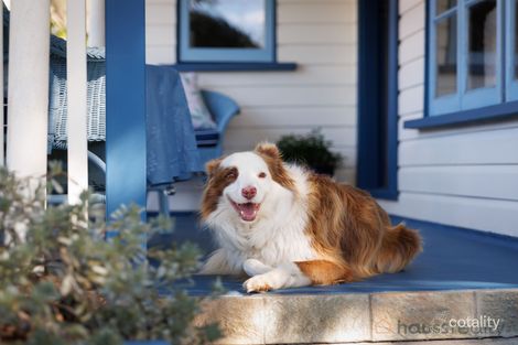 Property photo of 293 Long Street East Graceville QLD 4075