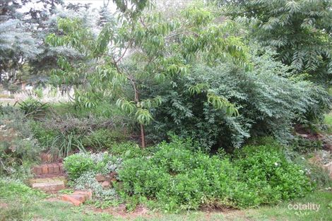 Property photo of 27 Ulm Street Scullin ACT 2614