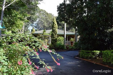 Property photo of 45 Caryota Court Tamborine Mountain QLD 4272