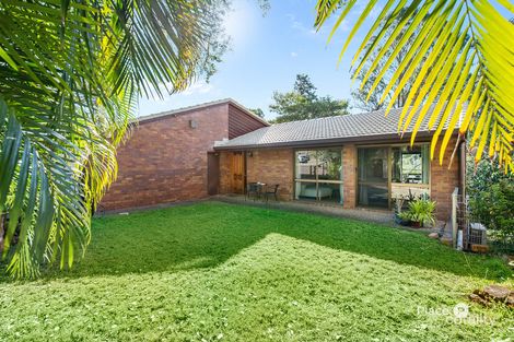 Property photo of 6 Algona Street Holland Park West QLD 4121
