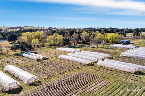 247 Gooroomon Ponds Rd, Wallaroo, NSW 2618