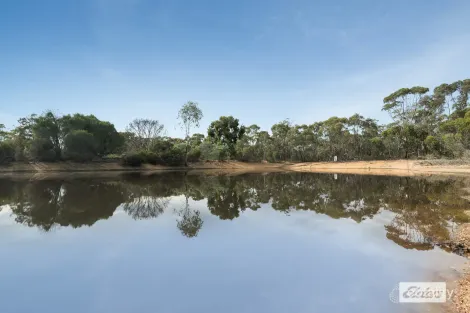 Property photo of 60 Carneys Road Eppalock VIC 3551