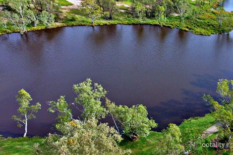 Property photo of 29 Lagoon Street Yelarbon QLD 4388