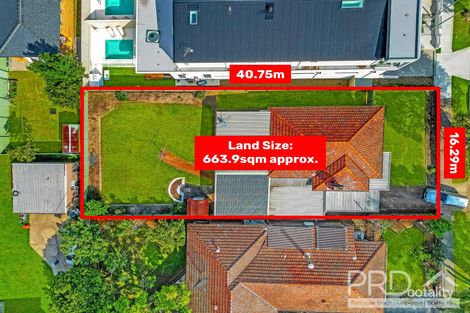 Property photo of 16 Armitree Street Kingsgrove NSW 2208