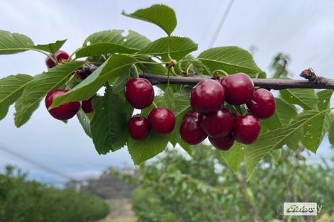 255 Red Hill Rd, Springdale, QLD 4380