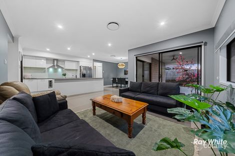 Property photo of 14 Walker Circuit Flagstone QLD 4280