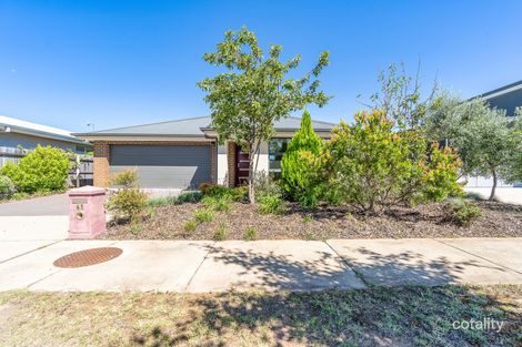 Property photo of 41 Lindsay Pryor Street Wright ACT 2611