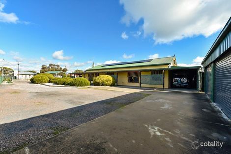 Property photo of 23 Williams Avenue Keith SA 5267