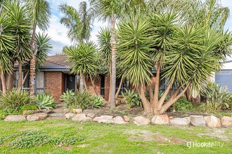 Property photo of 17 Buttercup Grove Blakeview SA 5114