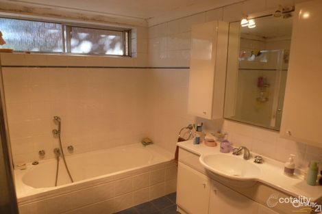 Property photo of 28/41-47 Ocean Street North Bondi NSW 2026