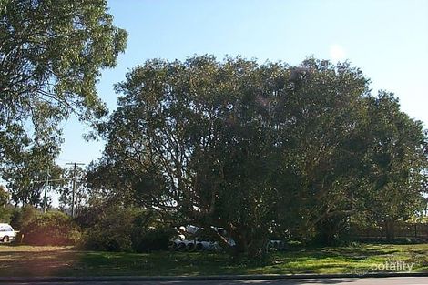 4 Albert St, Noosaville, QLD 4566