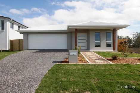 41 Morna St, Newport, QLD 4020