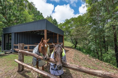 Property photo of 157 Sudholz Road Verrierdale QLD 4562