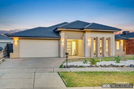 7 Poppy Pl, Point Cook, VIC 3030