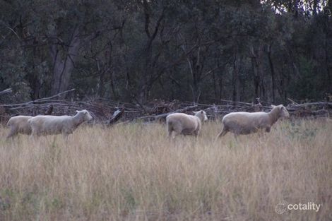 3533 Yetman Rd, Graman, NSW 2360