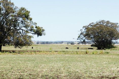 1141 Mount Russell Rd, Delungra, NSW 2403